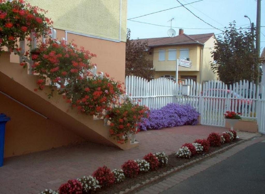 Sarkadi Apartman Hajduszoboszlo Bagian luar foto